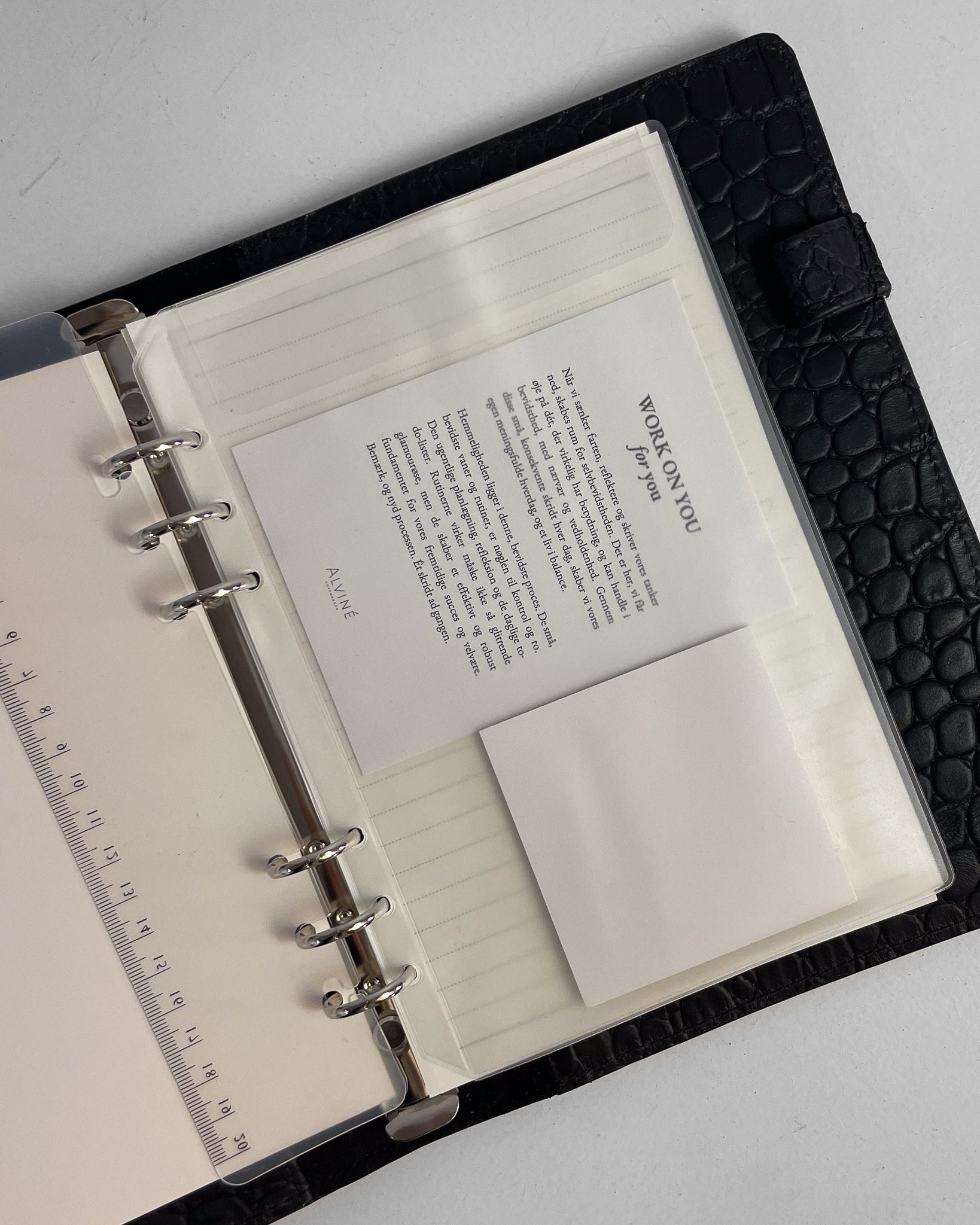 Enkeltlomme vist som insert i en Sort Planner med krokodillestruktur