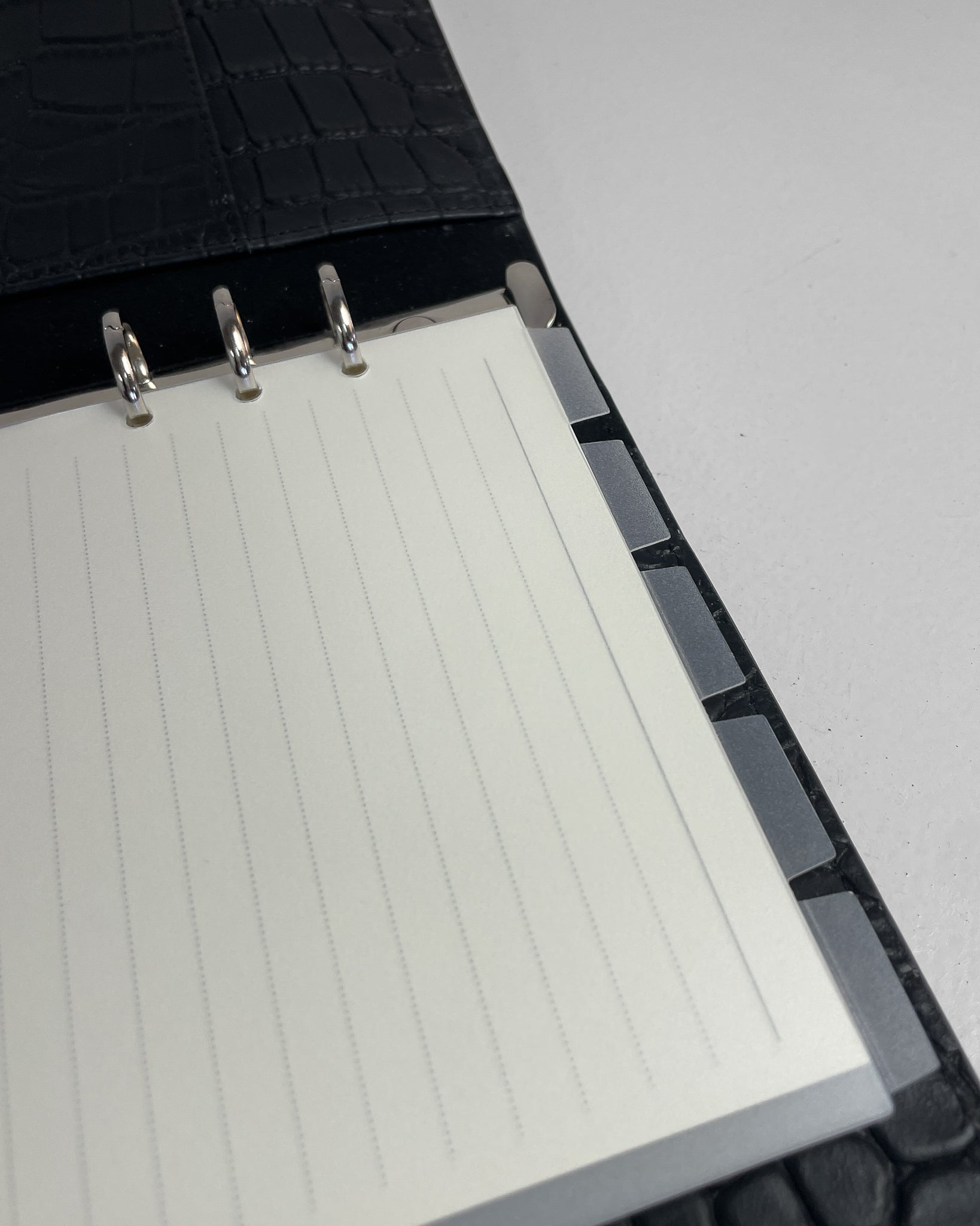 Close up af Horisontalle organiseringsfaner vist som inserts i en Sort Planner med krokodillestruktur