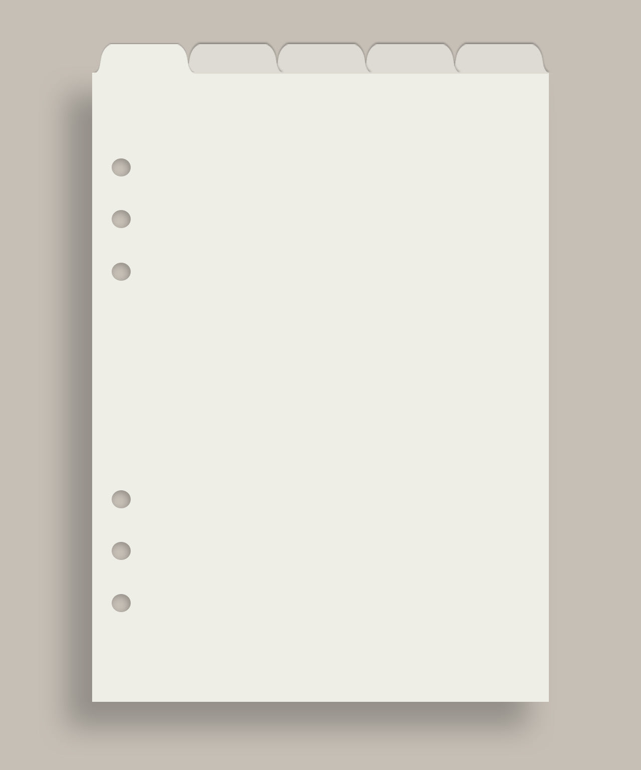 Horisontale organiseringsfaner i A5 størrelse til Planner Case