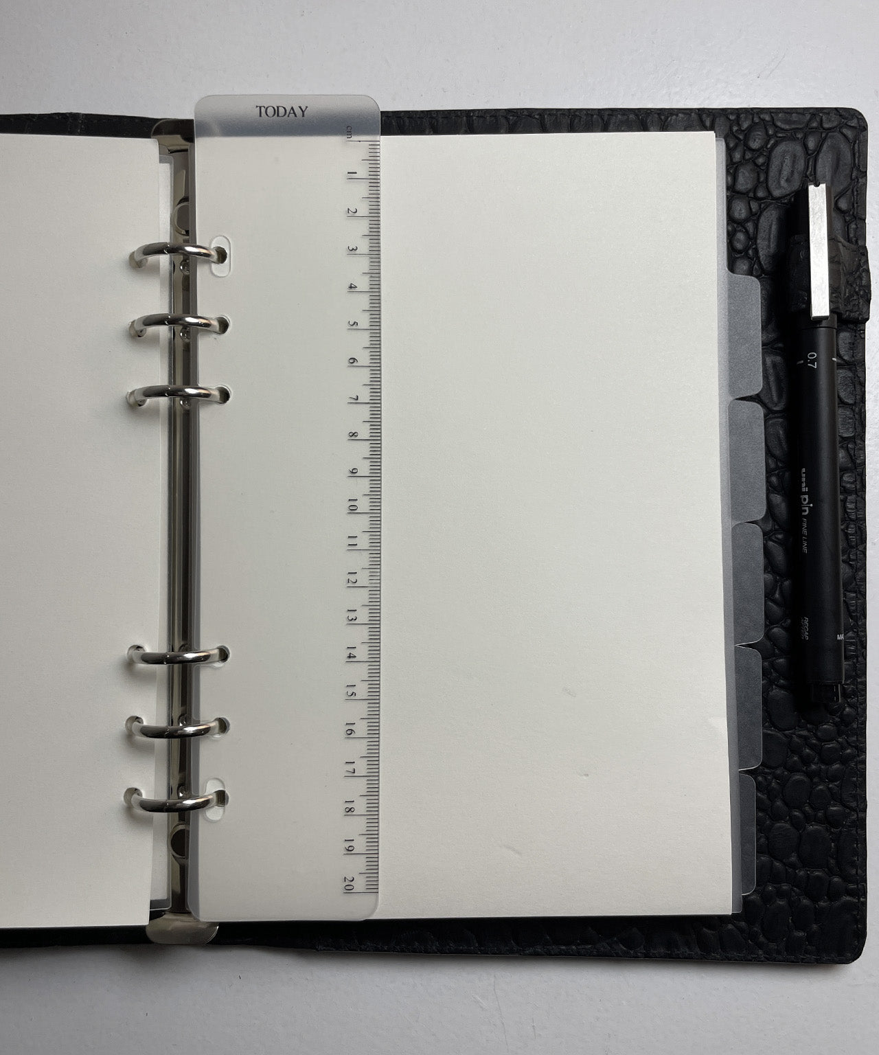 Today ruler i ALVINÉ planner
